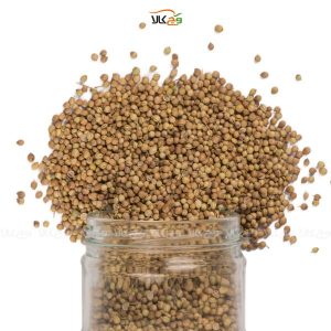 دانه گشنیز وگان