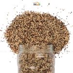 کینوا رنگی وگان