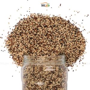 کینوا رنگی وگان