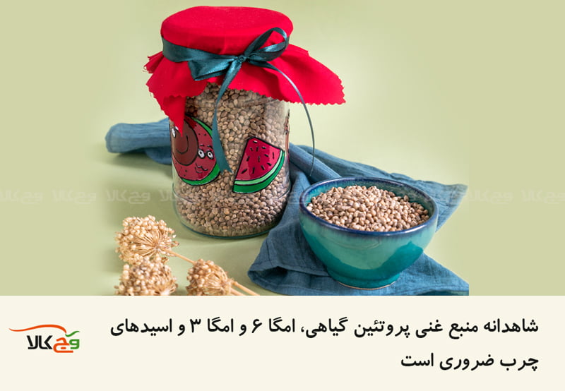 شاهدانه منبع پروتئین گیاهی غنی از امگا 3 و .. است