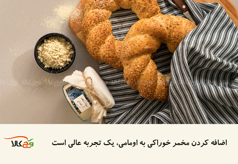مخمر خوراکی بعنوان یک منبع پروتئین گیاهی با طعم اومامی یک تجربه عالی است.