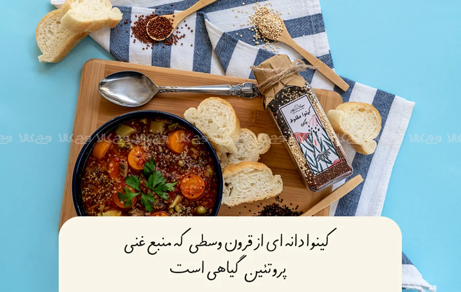 پروتئین گیاهی