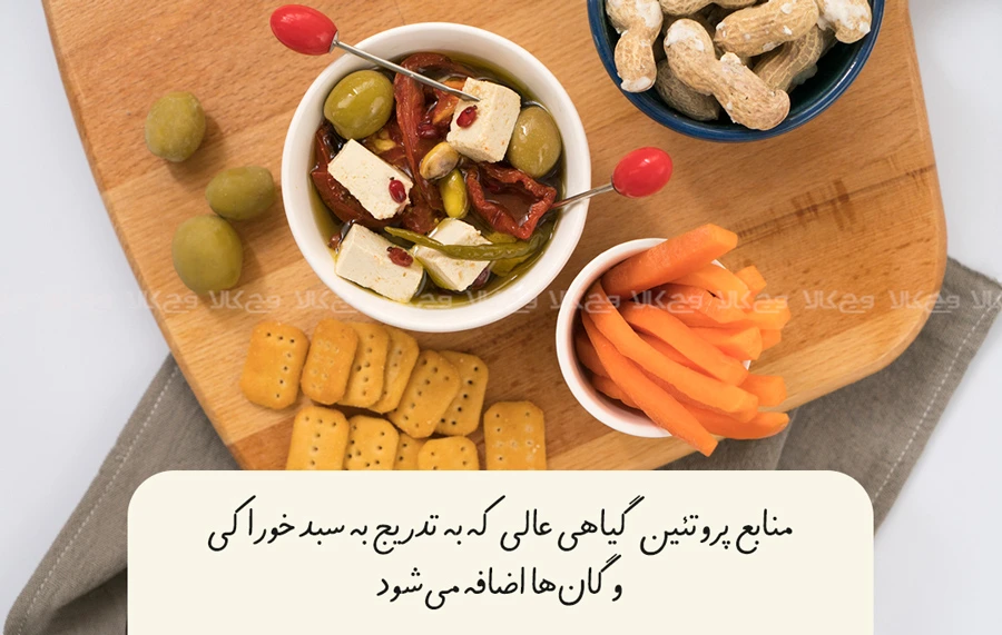 منبع پروتئین گیاهی