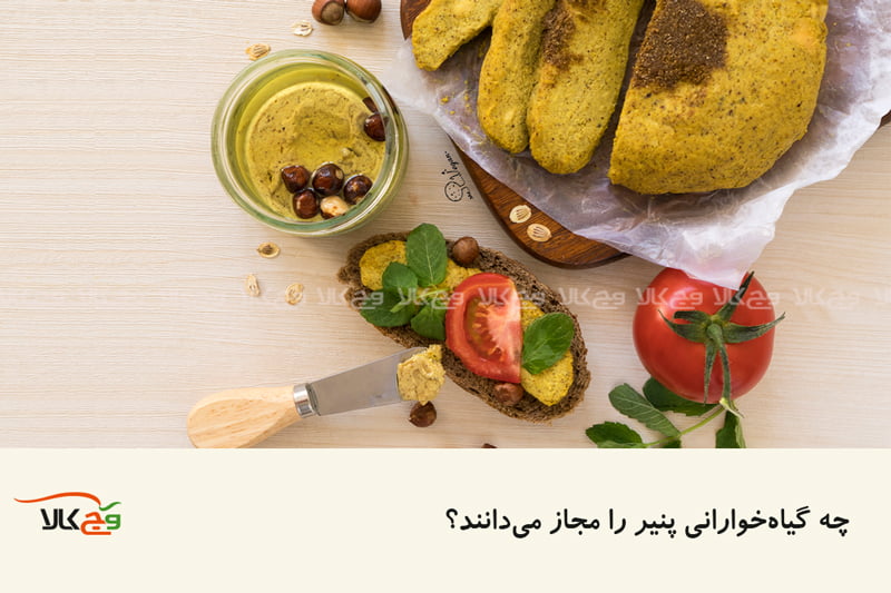 مقاله پنیر گیاهی
