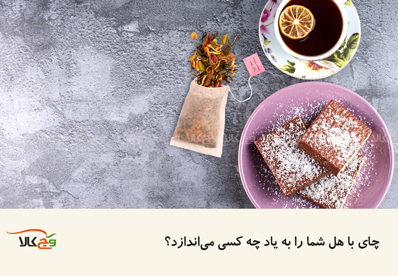 گوگل درباره هل میگوید
