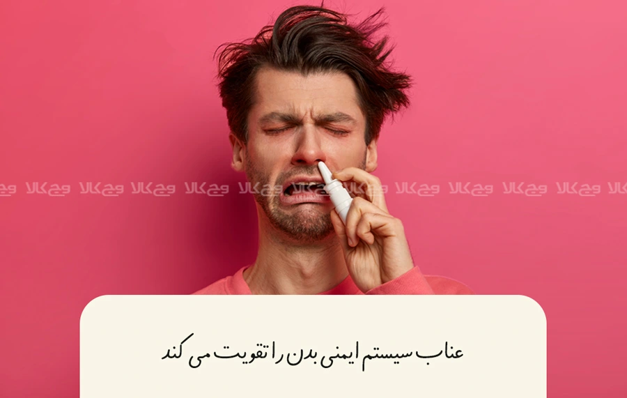 از فواید عناب بهبود گوارش است