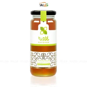 عسل ارگانیک قنقال - 600 گرم - رافونه
