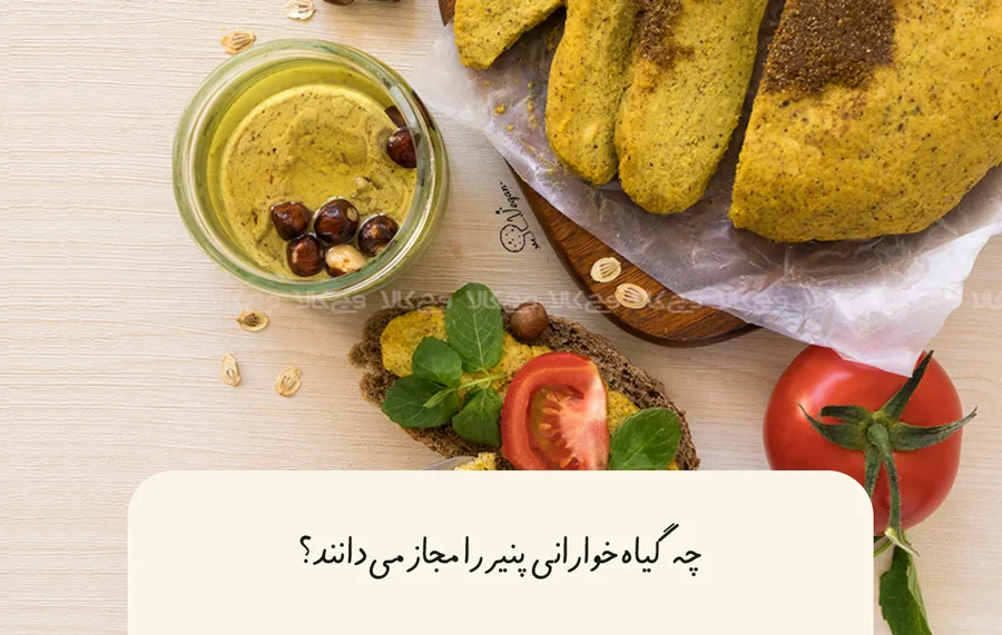 آیا پنیر مورد پسند انواع گیاهخواران است؟