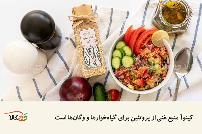کینوا منبع پروتئینی قوی است