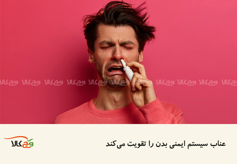 خواص عناب تقویت سیستم ایمنی بدن است