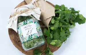 مقاله خواص گشنیز