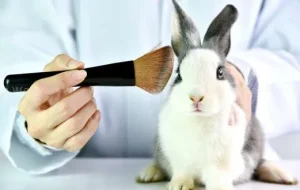 بدون تست حیوانی