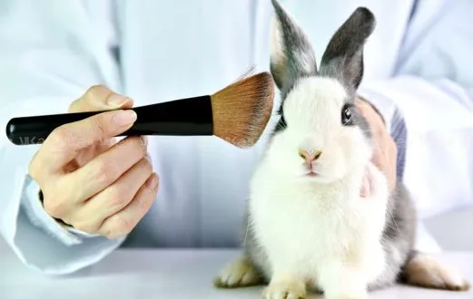 بدون تست حیوانی