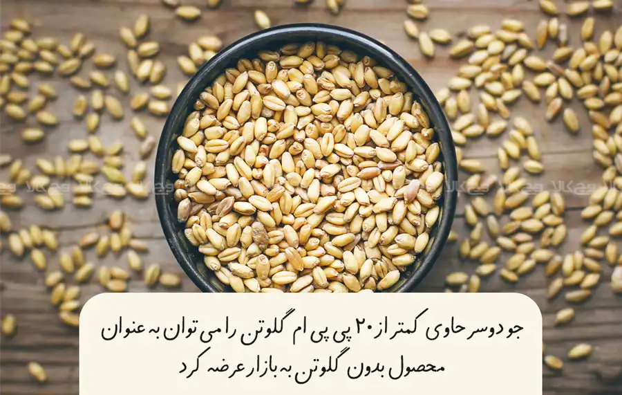 چطور جو دوسر به گلوتن آلوده می‌شود
