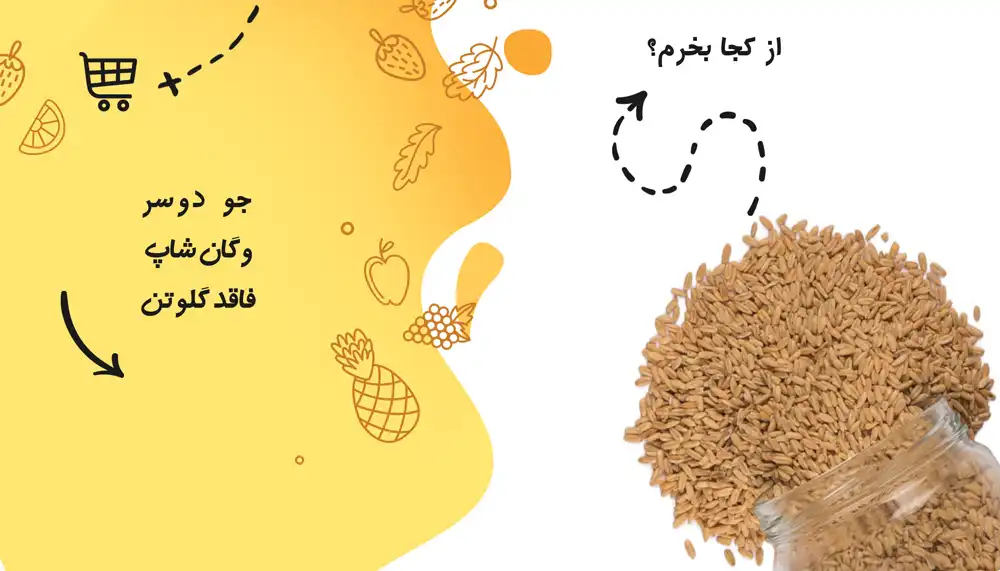 چطور جو دوسر را وارد تغذیه روزانه کنیم؟