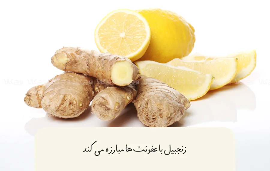 افزودن زنجبیل به رژیم غذایی خود