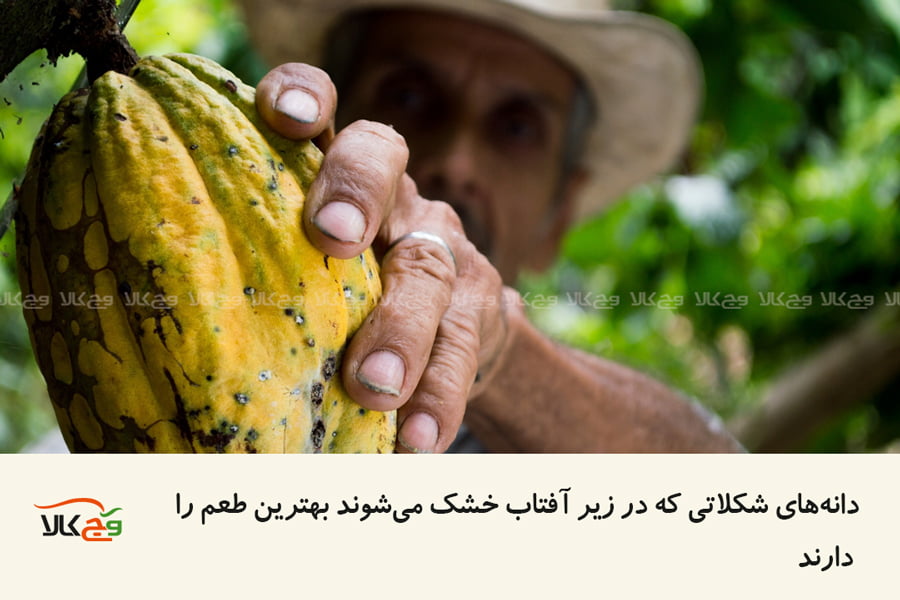 تاریخچه شکلات