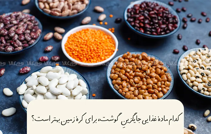 چرخه محیط زیست غذایی