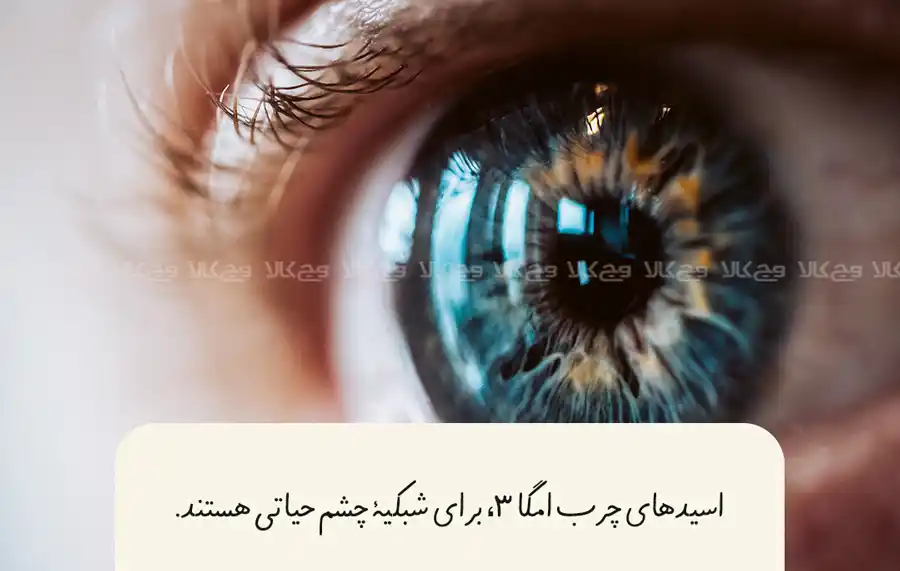 کاری که اسیدهای چرب امگا 3 انجام می‌دهند