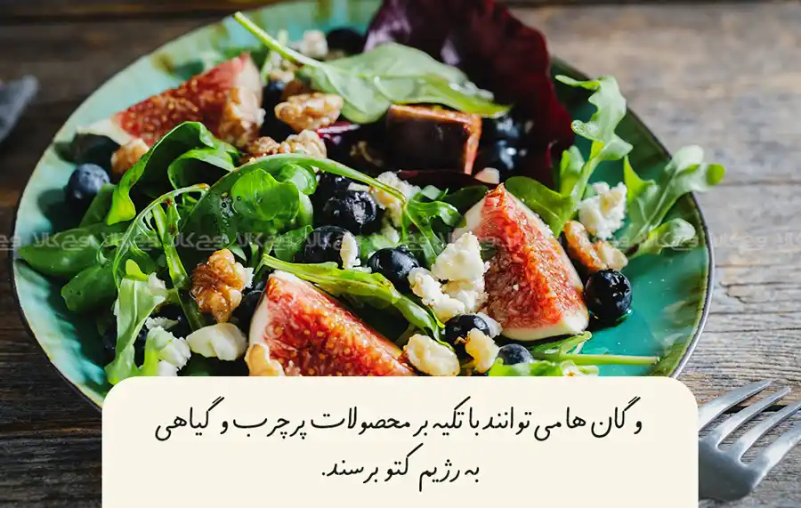 رژیم کتو وگان چیست؟