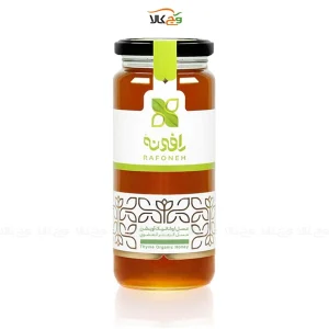 عسل اویشن ارگانیک - 600 گرم - رافونه