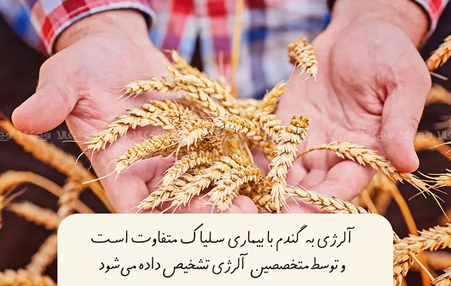 حساسیت به گلوتن غیر سلیاک