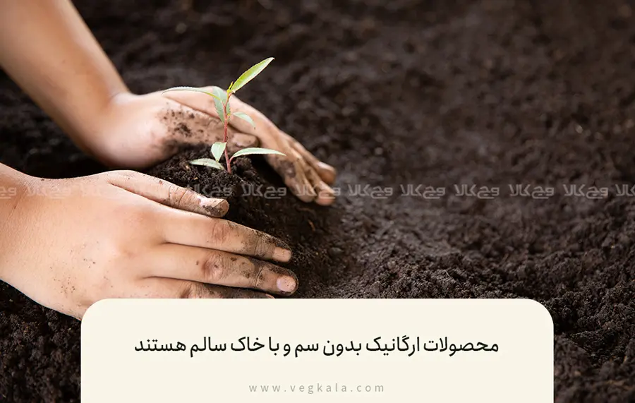 محصولات ارگانیک بدون سم هستند