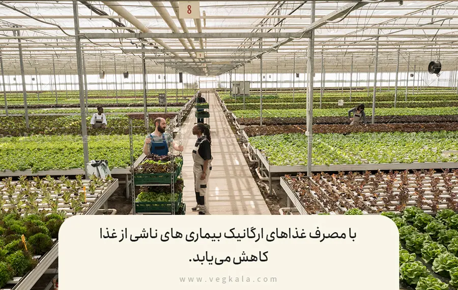 رفع بیماری های غذا با غذای ارگانیک