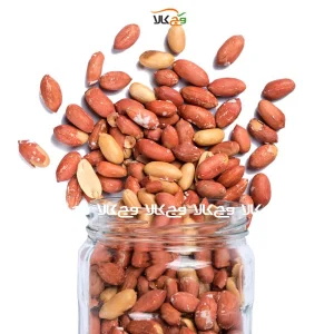 بادام زمینی وگان - 320 گرمی