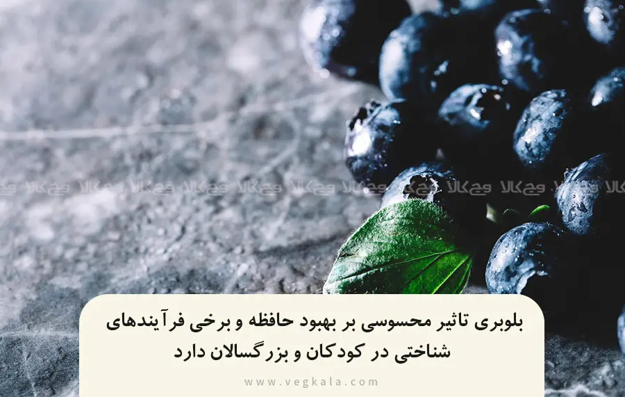 بلوبری و بهبود حافظه