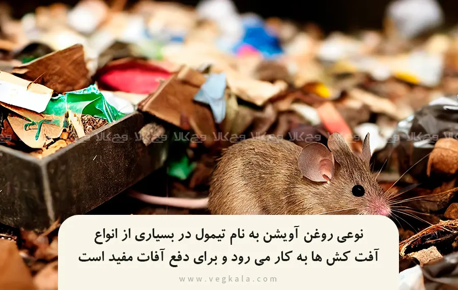 خواص  آویشن دفع آفات