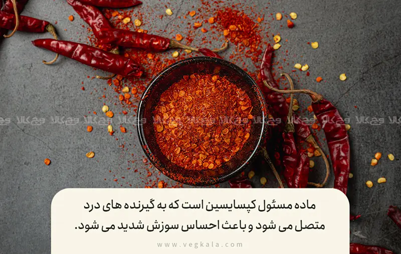 فواید و خواص فلفل چیلی برای سلامتی