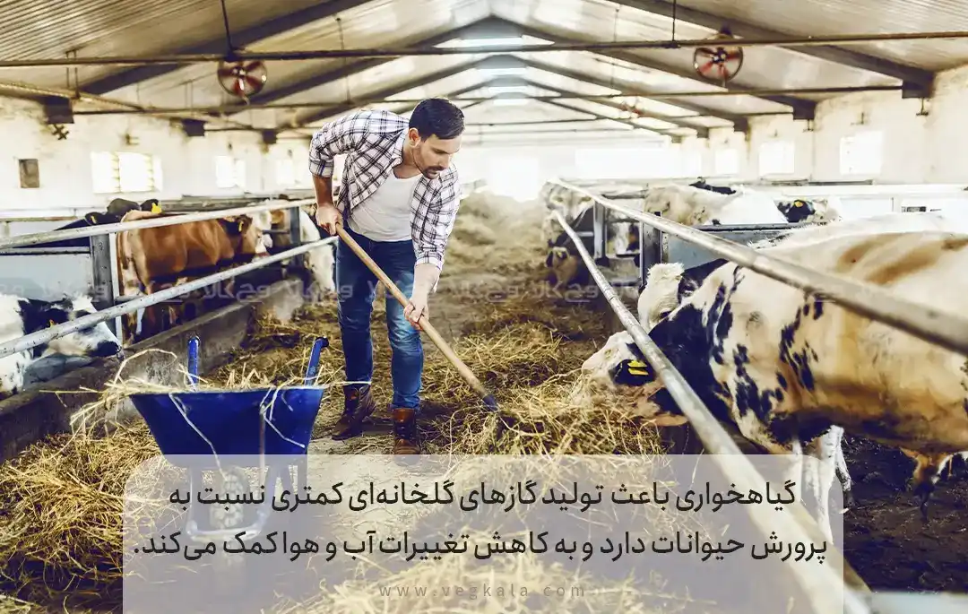 تاثیرات پایدار مثبت سبک زندگی گیاهخواری