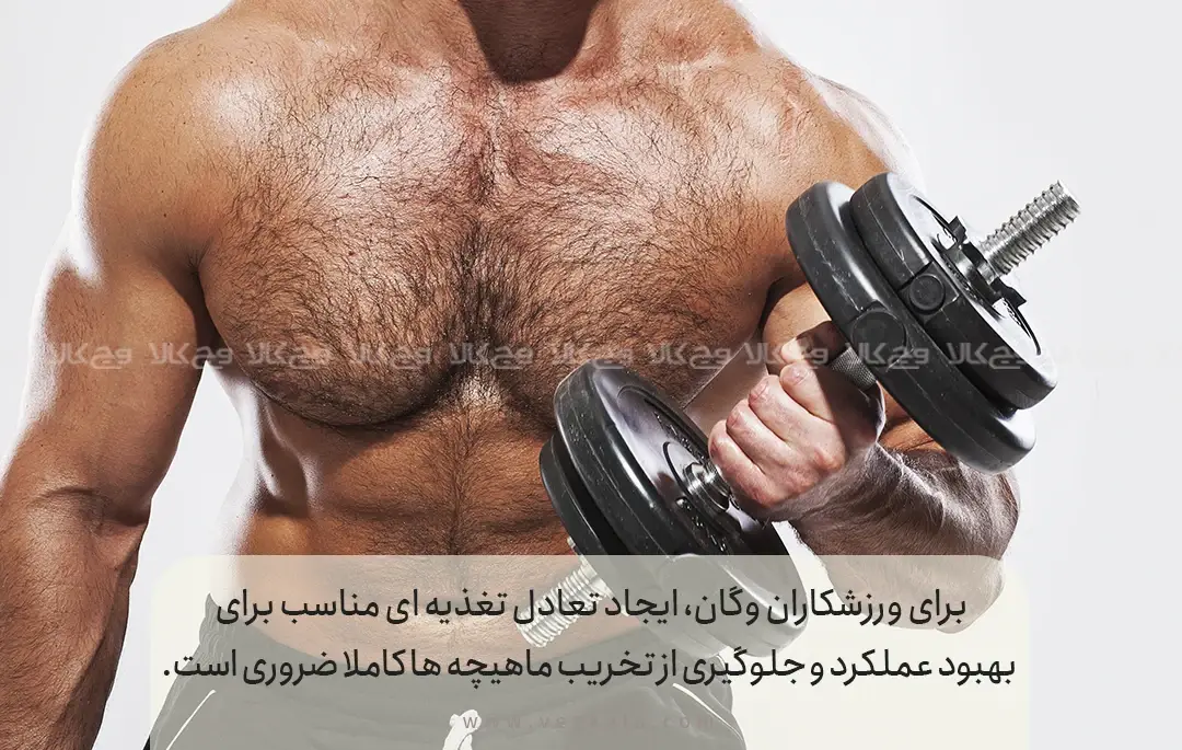 مرحله 2: وعده های غذایی متعادل را در برنامه ریزی غذایی خود قرار دهید