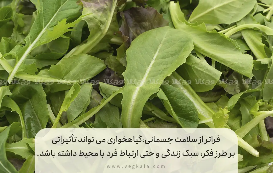 5. مزایای اخلاقی و زیست محیطی