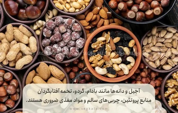 منابع پروتئین حبوبات