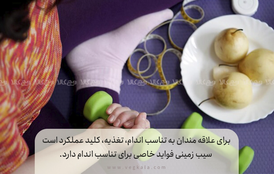 نقش سیب زمینی در تناسب اندام و عضله سازی