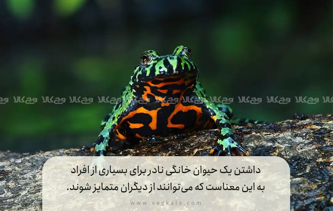 چرا حیوانات نادر جذاب هستند؟