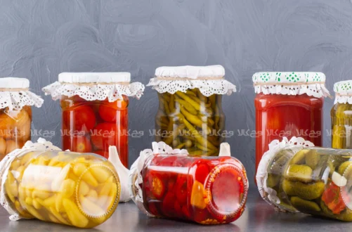 آینده پروبیوتیک‌ها