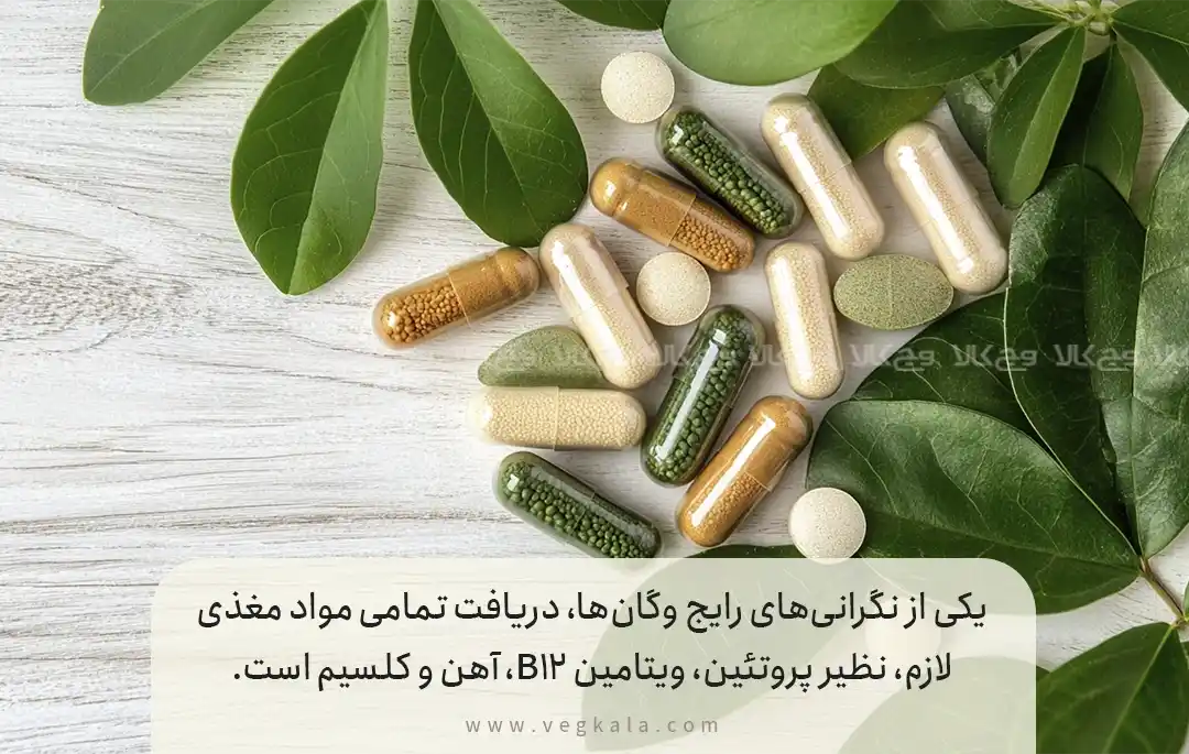 ۳. نگرانی‌های تغذیه‌ای