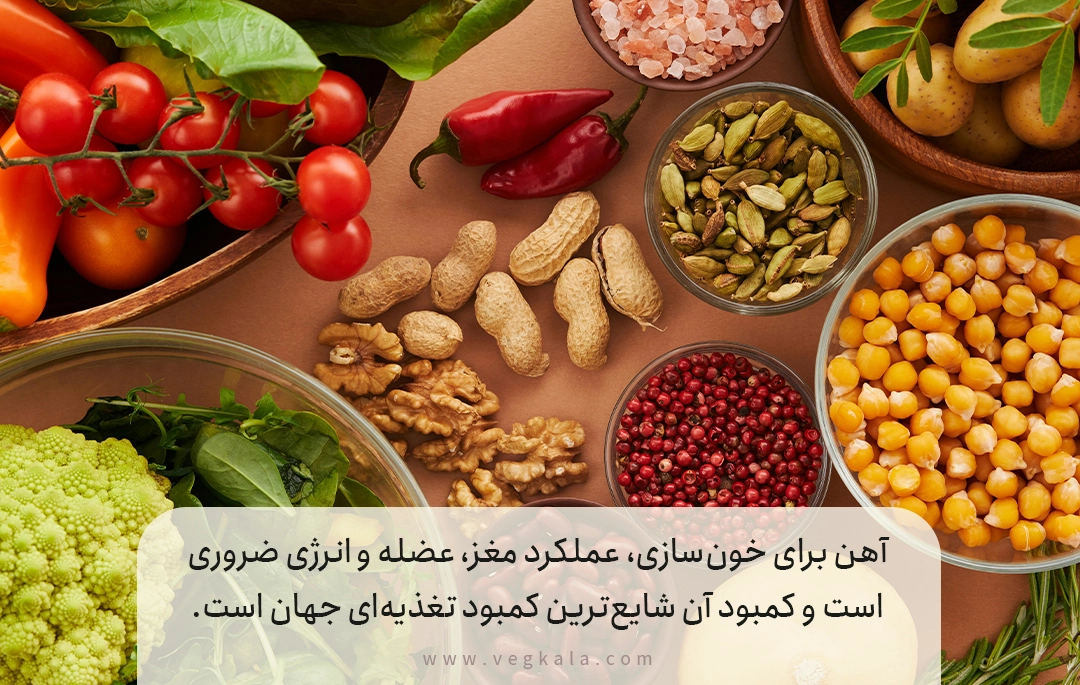 بخش چهارم: سایر عناصر حیاتی در رژیم وگان