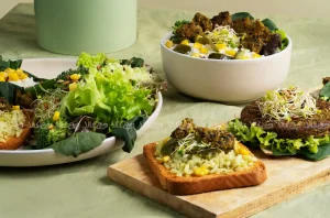 بهترین رسپی غذای وگان مخصوص همه سلیقه‌ها