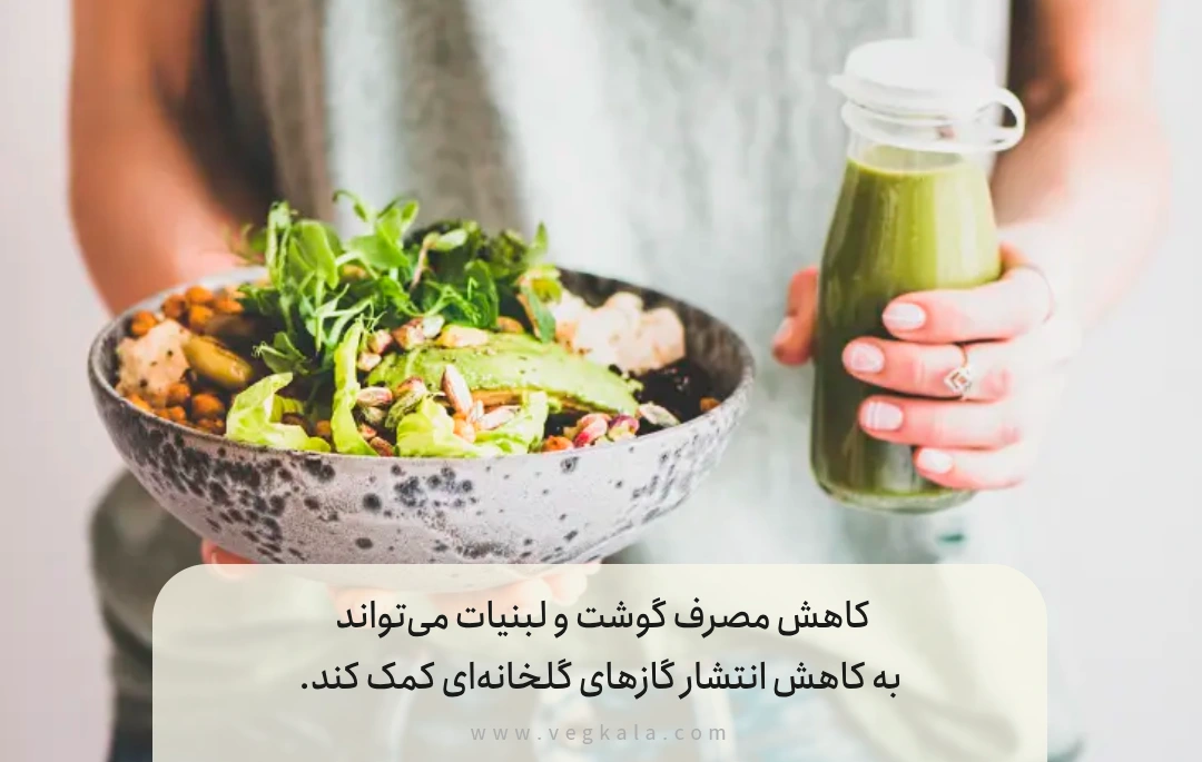 فواید رژیم وگان برای سلامت بدن