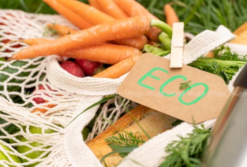 محصولات وگن؛ انتخابی سالم، آگاهانه و مهربانانه با زمین