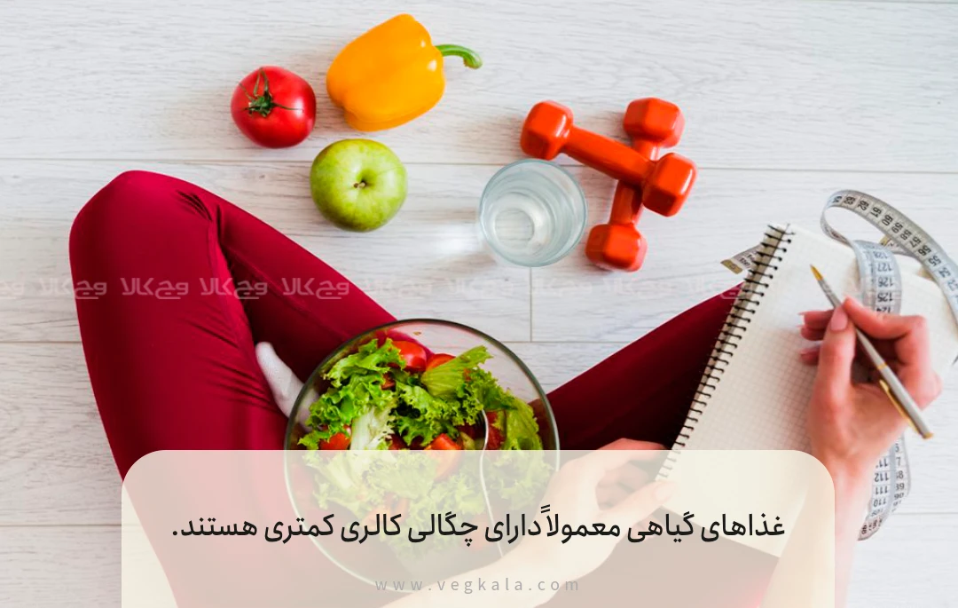 فصل دوم: کاهش وزن با رژیم وگان