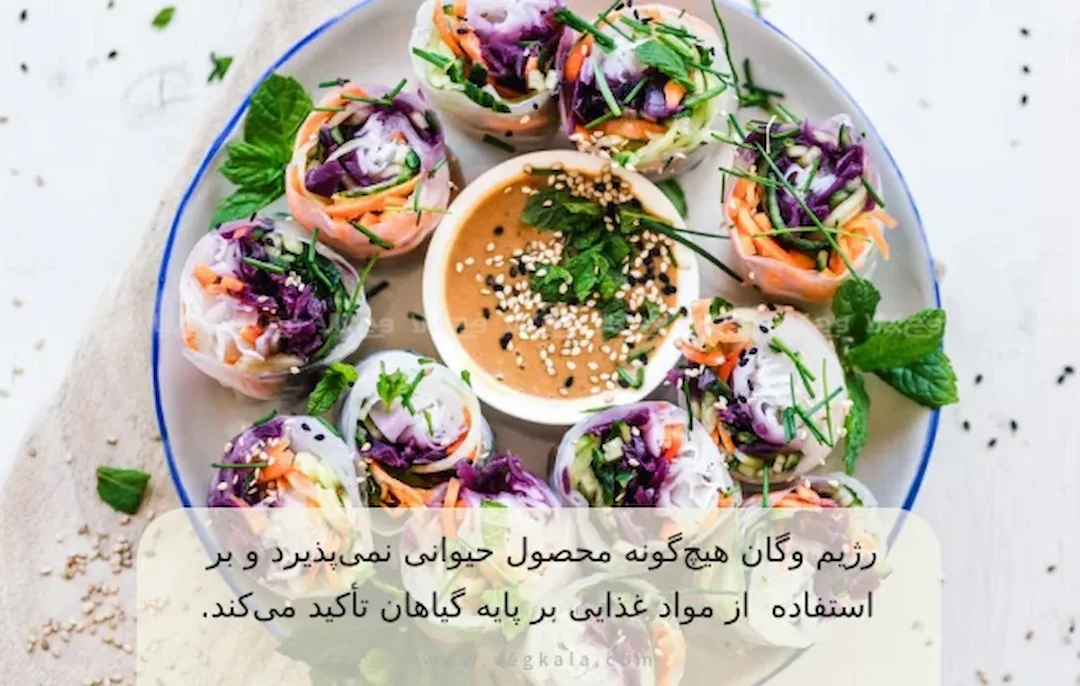 رژیم وگان