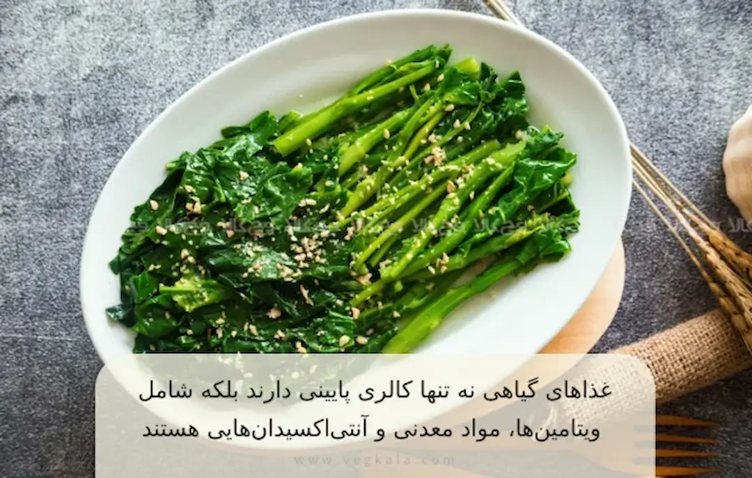 رژیم گیاهی