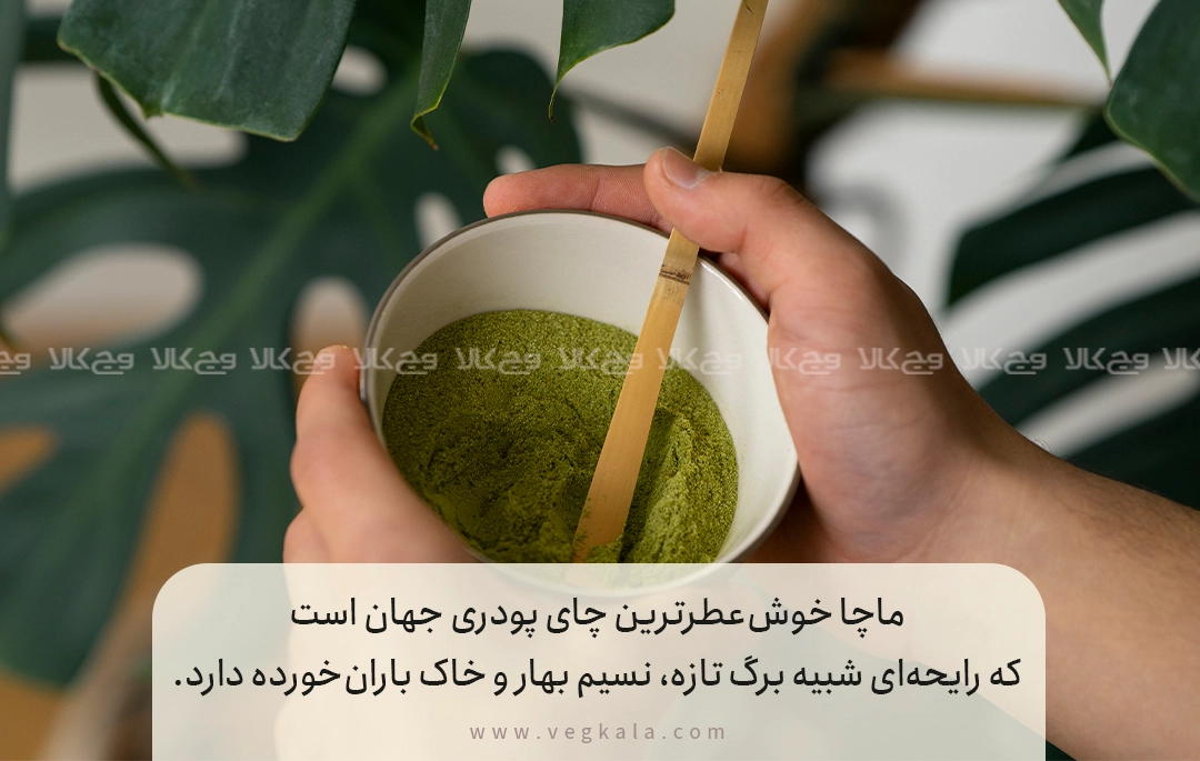 خوشمزهترین طعم و لذت بیپایان ماچا