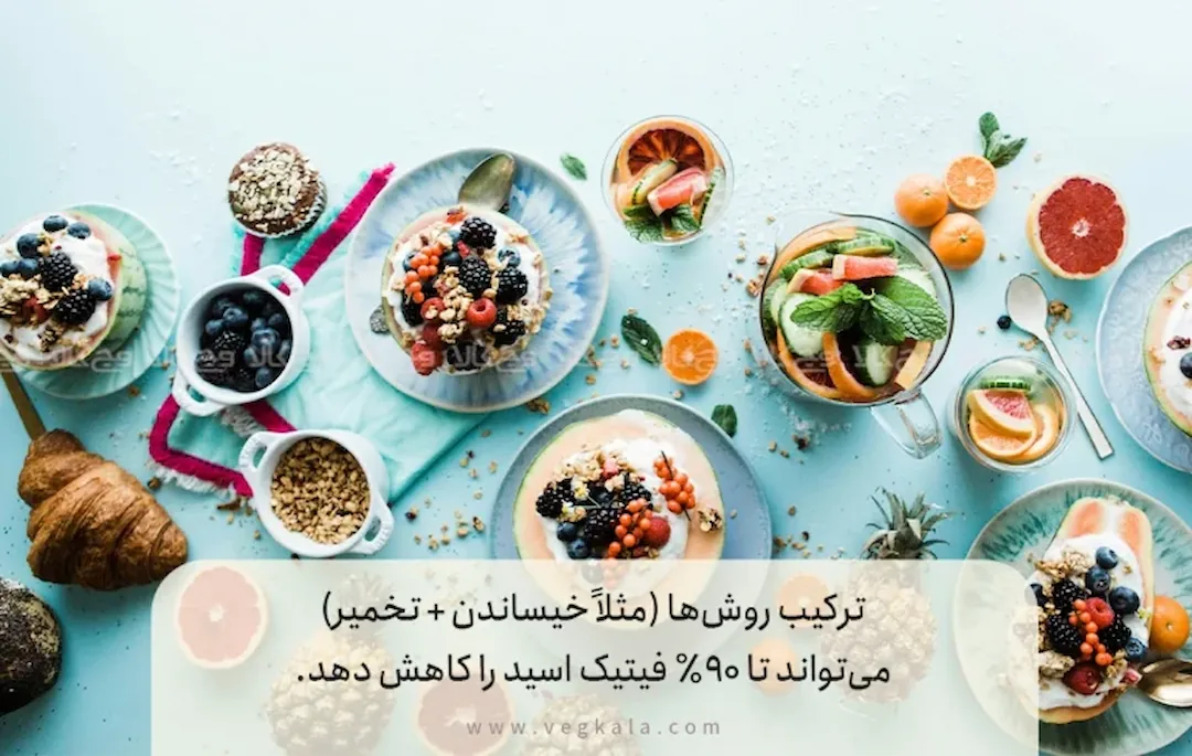 ۹. دستورالعمل عملی برای یک رژیم کم فیتات