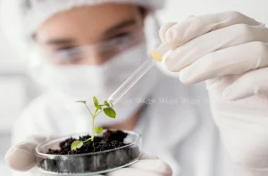 فیتیک اسید چیست و چرا کاهش آن مهم است؟